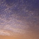 서강목장 이미지