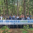 강원산양삼 이미지