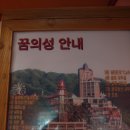 법인에덴동산