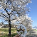 달성군구지면고봉보건진료소 이미지