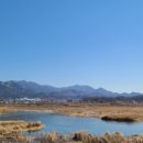 시장통임여사칼국수 이미지