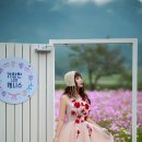 가조온천 이미지