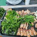 대규미나리 이미지