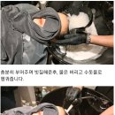 칼라뷰티 이미지