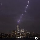ABC News1 이미지