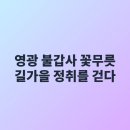 불갑초등학교 | 영광 불갑사 꽃무릇길 가을 정취를 걷다