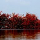 제주돌박물관 이미지