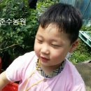 신광유치원 이미지