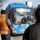 석관동 상진운수 옆 | 03.02- Variety Buses