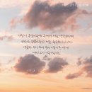 꽃이피는시간 이미지