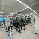 더 보스짐 이미지