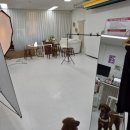 운정 사진관 모두와스튜디오 _펫프로필 촬영 후기/혀수납 못하는 강아지🐶 인생샷
