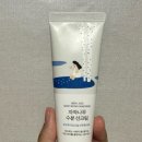 자작&white | 내돈내산 라운드랩 자작나무 선크림 솔직 후기