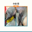 도하동물병원 이미지