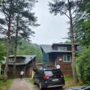 권실장 참마 찹쌀꽈배기 태백황지점 이미지