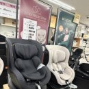 남양별내14 | 별내 베이비플러스 링크맘 남양주점 신생아 카시트 브라이텍스 듀얼픽스 프로 럭스 지역화폐 구매 후기