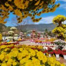 거창-신원-5 이미지