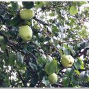 부산교통공사경전철운영사업소 이미지