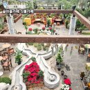 산림조합 1층 | 포항 카페 추천 식물카페 산림조합 숲마을카페 실내 식물원