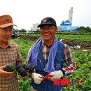 (주)에코팜 이미지