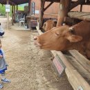 용기목장 이미지