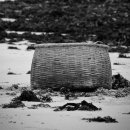 제주시절 이미지