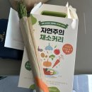 &lt; 제주살이 일상 1탄 &gt; 쉐어하우스 스텝 / 이후북스 책방 / 제주 올바른 농부장 / 월정리 나들이