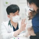 대구24시바른동물의료센터 이미지