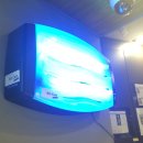 인스케어 이미지