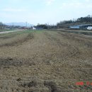 해평 금호리 이미지