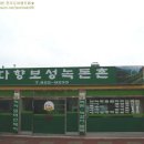 보성목욕탕 이미지