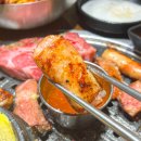 금돼지축산