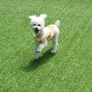 개편한 스쿨 이미지