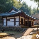하나관광운수