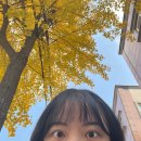 단아뷰티 | [대전/용문동] 유지력 좋은 속눈썹펌샵 단아뷰티 후기