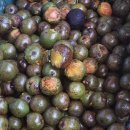 광덕1로4 이미지