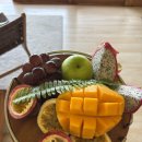 엘리펀트샤워 | 코사무이 와일드 코티지 엘리펀트 생추어리 내돈내산 후기 자연 속에서 진짜 행복했던 숙소