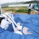 경보축산 이미지