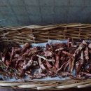 명품주류 이미지