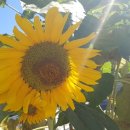 하이츠모텔 이미지