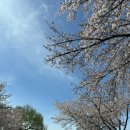장원떡집 - 영등포구 대림로22길 44 | 국내 소도시 여행 공주·부여 1박2일.*ෆ (2) 연꽃도시 부여 : 장원막국수 낙화암 궁남지 부여박물관 코스