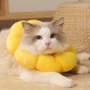 카라소프트 쇼핑하우