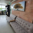 레인보우 메디칼 이미지