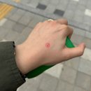 후쿠오카 또가고싶다 진짜 또 가고싶다 정말정말 또가고싶다 진심으로 또 가고싶다