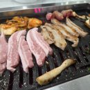 펫택시 | 펫택시 두리펫택시 후기 의왕>가평 왕복 이용/내돈내산