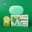 셀그린주