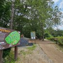 용인자연휴양림 이미지