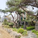 골마켓제주