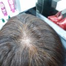 자르세헤어 이미지