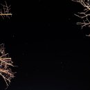 바다로글램핑 | [내돈내산] 바다로글램핑/박승광해물손칼국수 후기